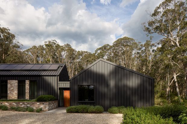 Exterior view of a contemporary dark-clad residential building composed of two gabled volumes, set within a eucalyptus woodland landscape. The facade features vertical dark metal cladding, brick masonry accents, large dark-framed windows, a timber entry door, and roof-mounted solar panels. A gravel forecourt and low landscaped hedges lead to the entrance.