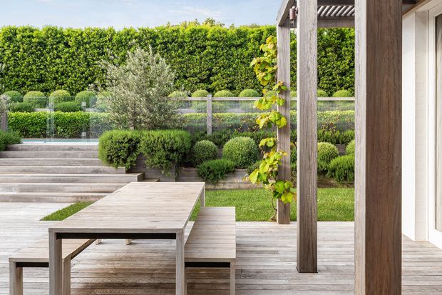 A landscaped outdoor entertaining area viewed from a timber-clad building or covered structure. A weathered timber deck contains a long rectangular dining table and bench seating, with timber posts and a slatted pergola overhead. Broad steps lead through clipped hedges, rounded shrubs, and layered garden beds toward a transparent or wire-style boundary fence.