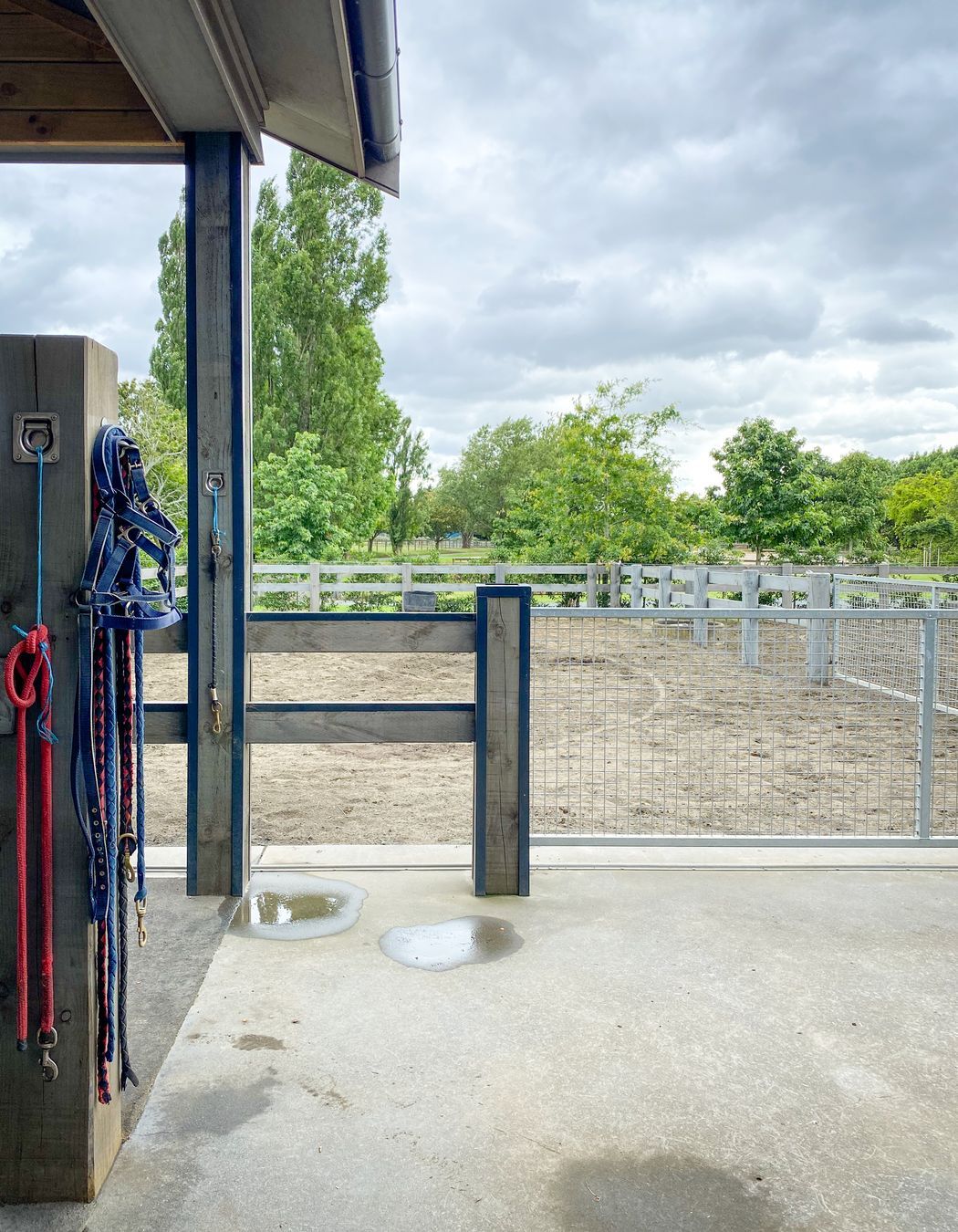 Karaka Country Stables