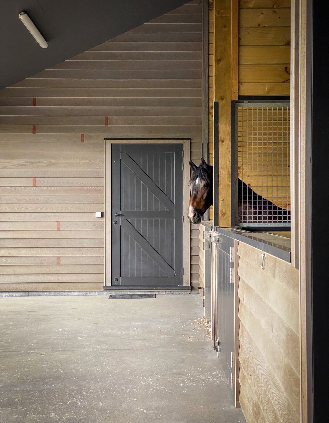 Karaka Country Stables