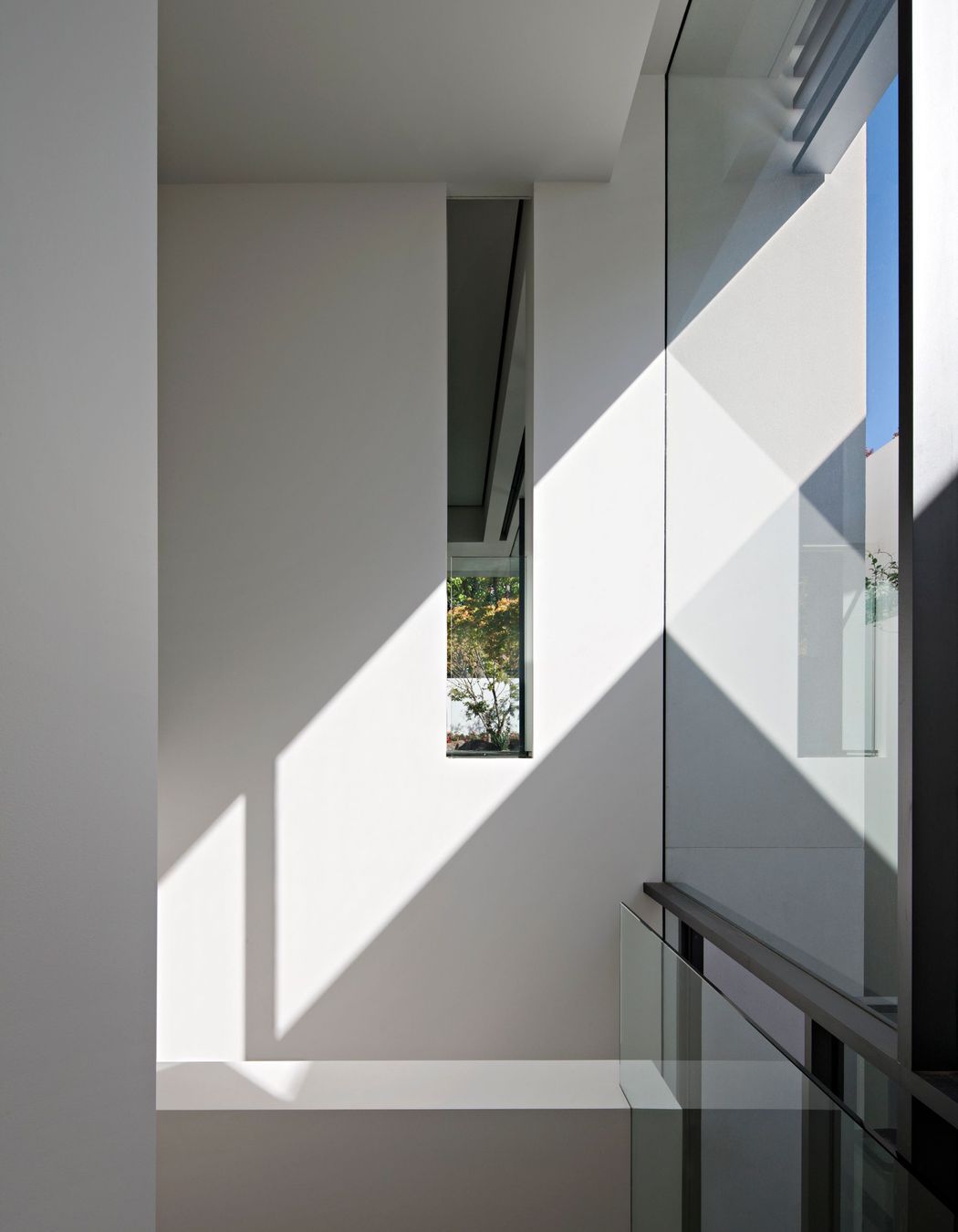 The Minimalist House