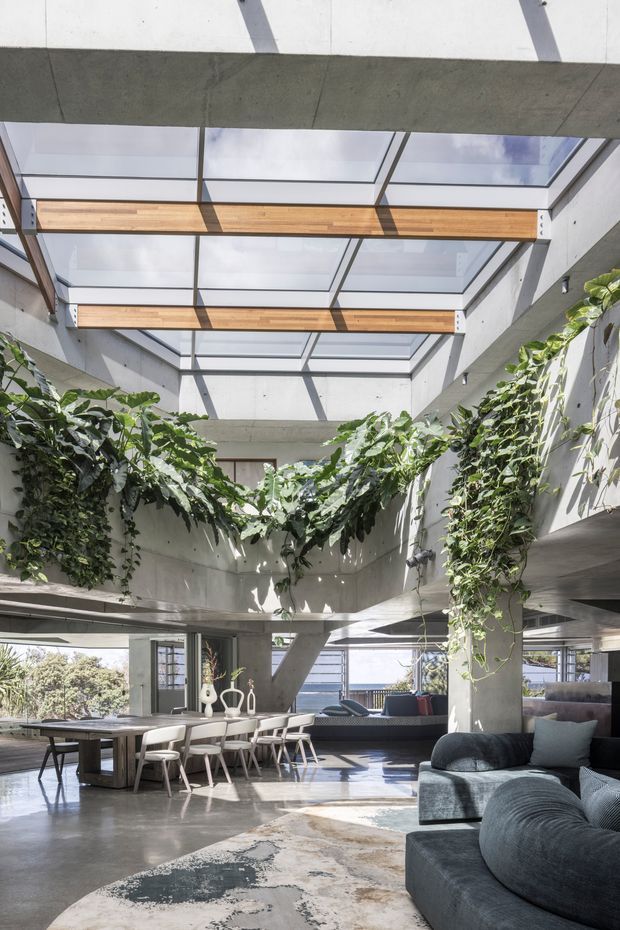 A spacious, light-filled open-plan interior with exposed concrete structure, a glazed atrium roof, timber beams, and abundant cascading greenery. The room combines a dining area and lounge with dark upholstered sofas, a large dining table, and polished concrete flooring. Expansive glazing provides views toward a coastal or waterfront setting.