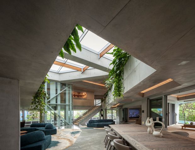 A spacious contemporary double-height interior combining a dining area, living area and open stairway around a central glazed atrium. Raw concrete ceilings, walls and columns frame large skylights with exposed timber beams, while trailing indoor greenery hangs from the upper level. A long timber dining table with curved chairs occupies the foreground, with deep blue seating, extensive glazing and recessed linear lighting creating a refined indoor-outdoor connection.