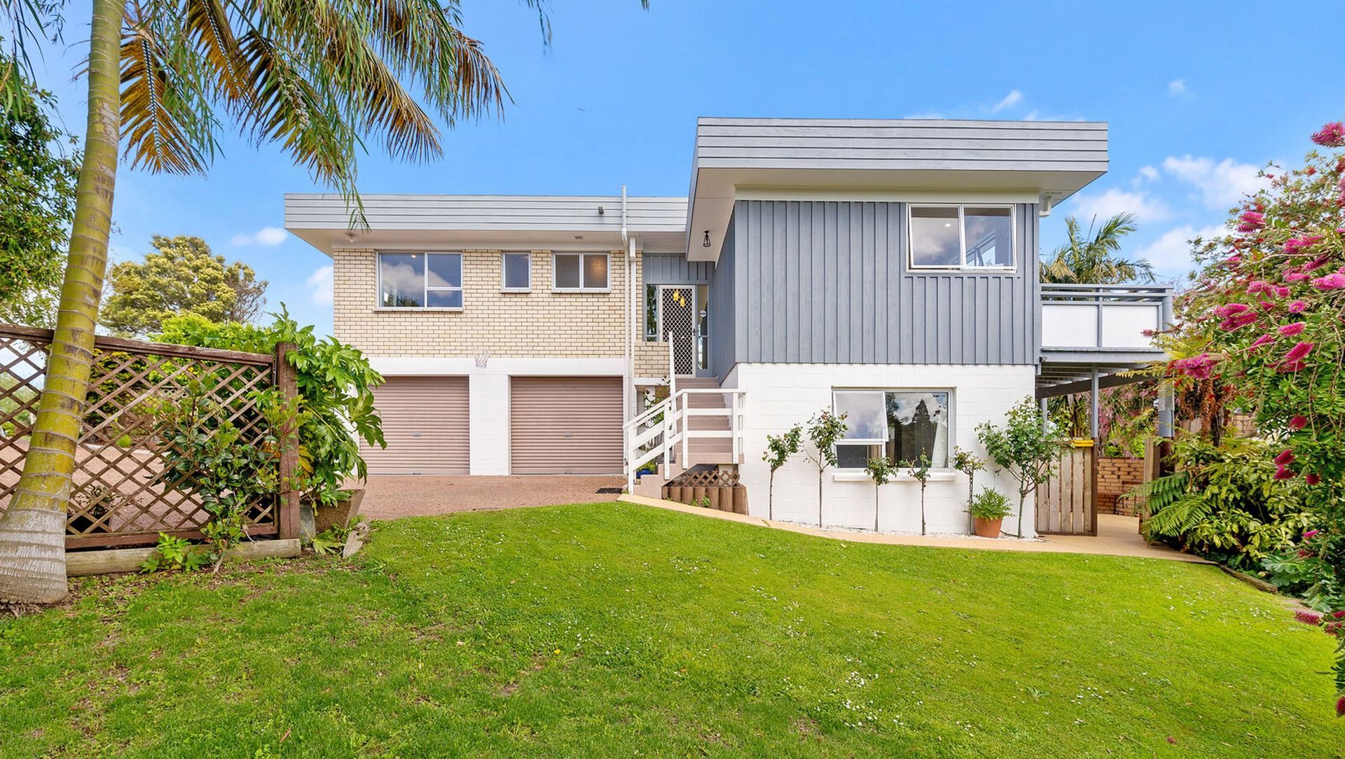 Professional Photography banner