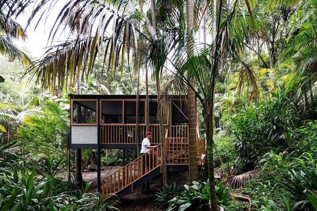 A compact raised modern cabin or pavilion set within dense tropical rainforest. The dark-framed structure has extensive glazing, timber screening and balustrades, and is accessed by a timber ramp and elevated walkway. Lush palms and layered tropical planting surround the building.