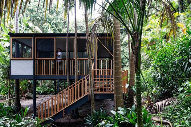 A compact elevated cabin or house set among dense tropical rainforest. The dark-clad structure has large timber-framed windows, an open timber balcony, and a timber staircase and ramp rising from the forest floor. Tall palms and lush vegetation surround the building, creating a secluded, lightweight jungle setting.