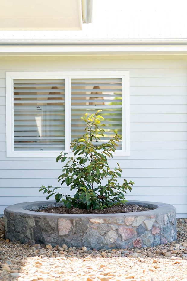 Exterior detail of a light-colored horizontal weatherboard-clad building with a white-framed window fitted with horizontal louvres or blinds. A leafy shrub is planted in a large circular raised stone planter, surrounded by decorative gravel.
