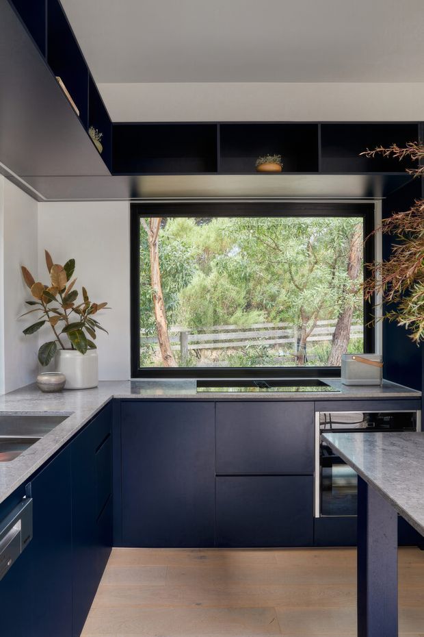 A compact contemporary kitchen with dark navy-blue cabinetry arranged in an L-shaped layout, grey stone benchtops, integrated appliances, open shelving, and a large black-framed window overlooking leafy vegetation. Light timber flooring and white walls balance the deep cabinetry, while potted plants add natural texture.