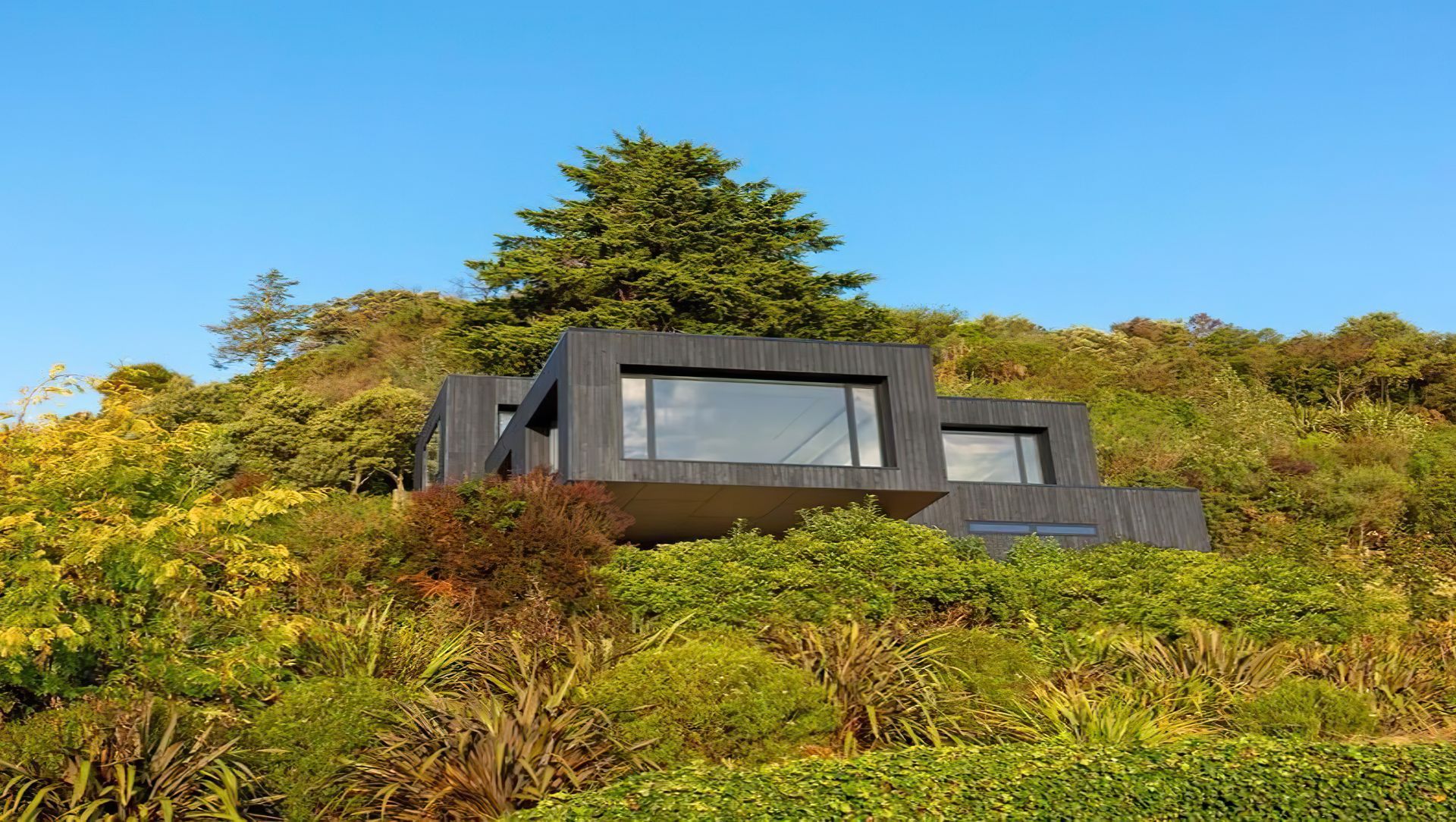 Bellevue House banner