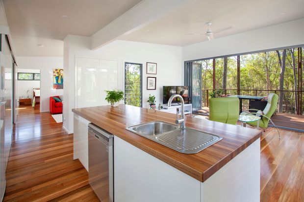 Bright open-plan kitchen with a central island featuring a timber benchtop, integrated sink and dishwasher, white cabinetry, and polished timber flooring. The kitchen opens to a light-filled living area with extensive glazing overlooking a wooded setting, plus a small dining or sitting zone with colourful furnishings. Clean-lined contemporary detailing and a white ceiling fan create an airy residential interior.