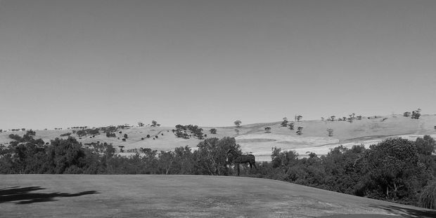 A monochrome landscape view across a gently rolling rural hillside, with scattered trees, dense foreground vegetation, and a smooth dark paved or deck-like surface along the bottom edge. No building or interior space is clearly visible.