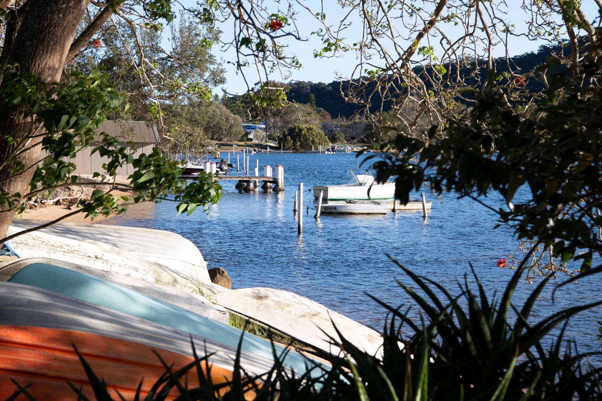 patonga-cottage04.jpg
