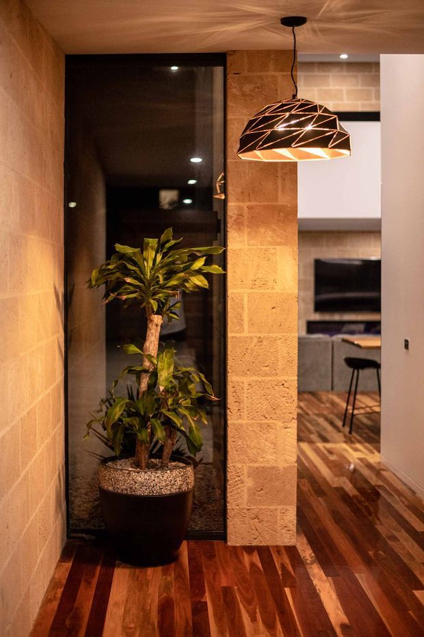 A warmly lit interior hallway or entry passage with rich timber flooring and timber-lined walls and ceiling. A tall potted plant stands in front of a dark full-height glazed panel, while a textured tan masonry or stone-clad column divides the passage from a partially visible living or kitchen area. A sculptural black geometric pendant light hangs overhead. The adjacent space contains dark cabinetry, a television or dark wall feature, bar seating, and timber flooring.