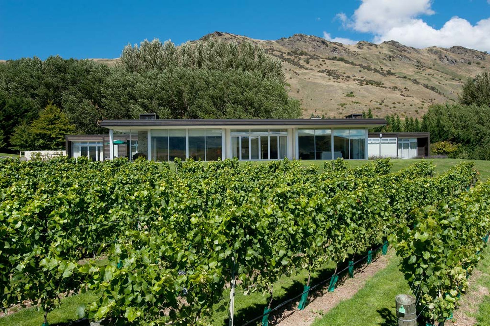 Vineyard Home, Queenstown