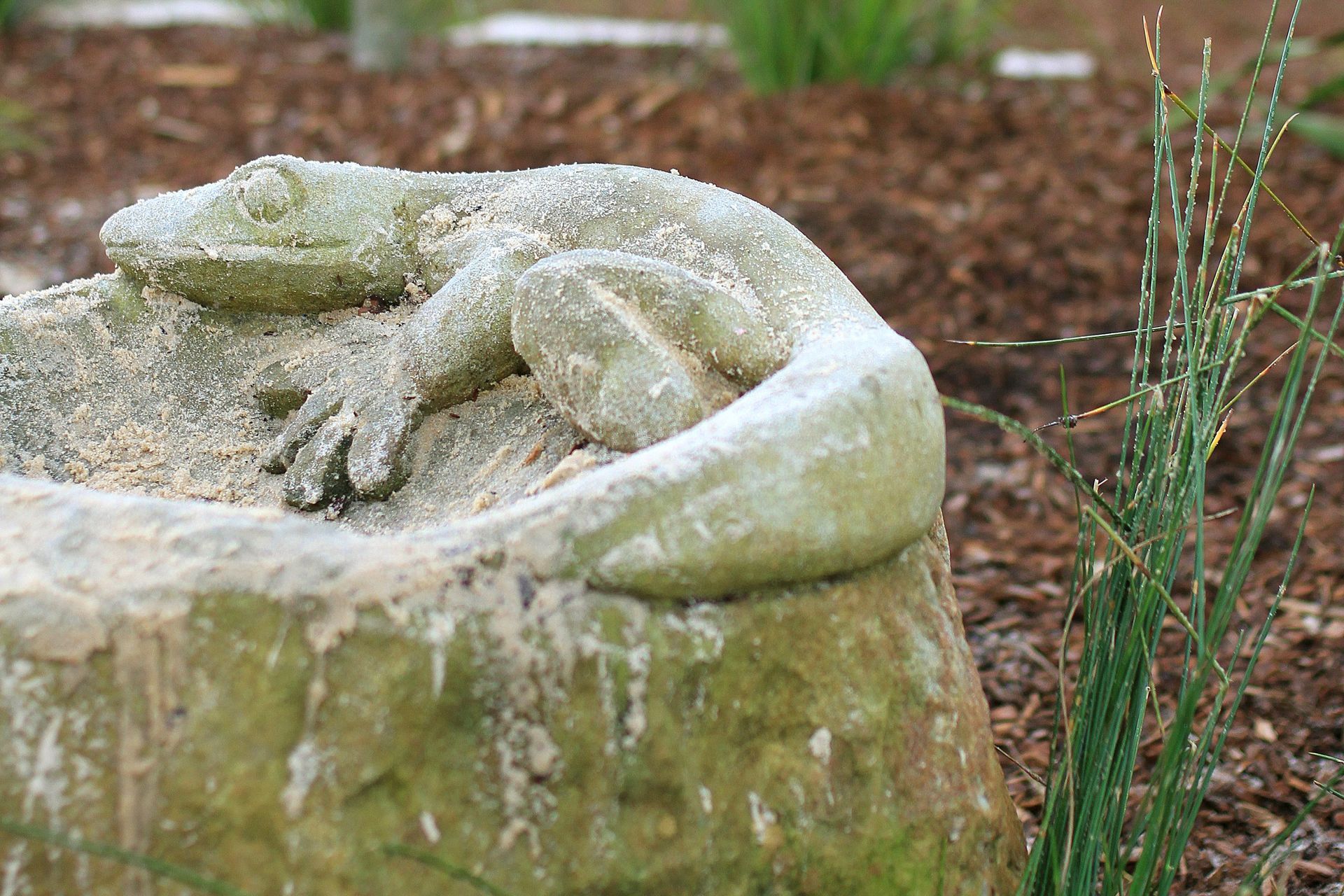 SCECGS Redlands Junior School