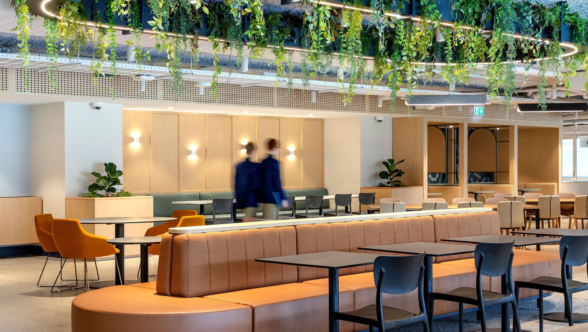 Academy Of Global Competency banner