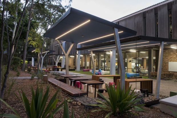 Exterior view of a contemporary multi-building campus set among mature trees, featuring dark timber cladding, exposed structural posts, covered outdoor gathering areas, integrated linear lighting, paved paths, timber seating platforms, and landscaped garden beds. Glazed ground-level interiors are visible beneath the upper storey.