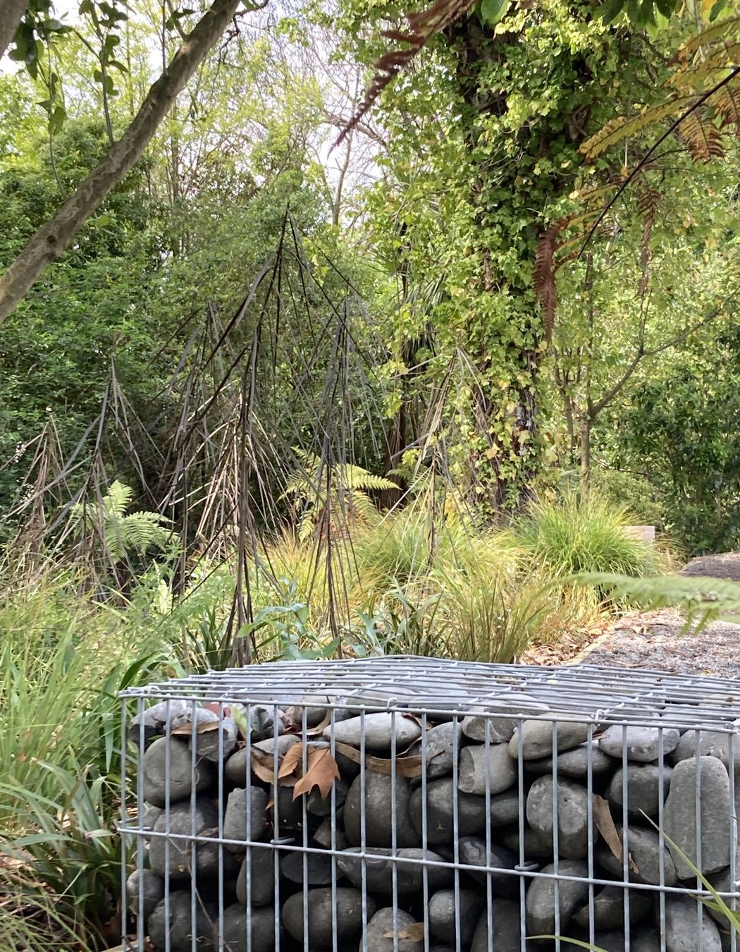 Christchurch Boys High School