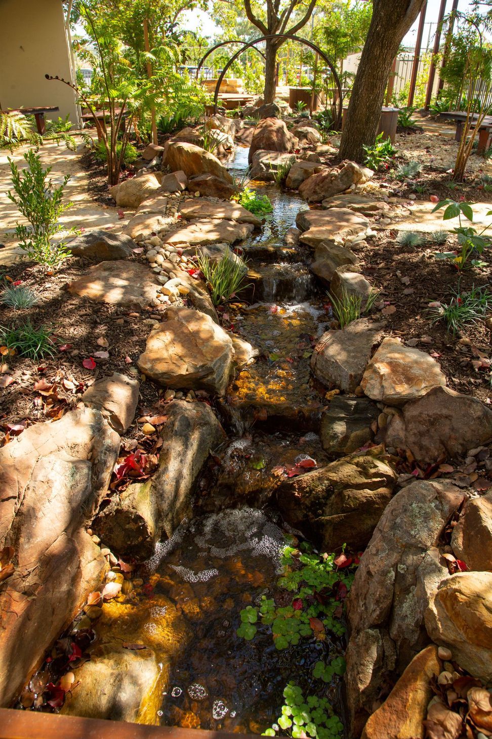 Reflection Garden