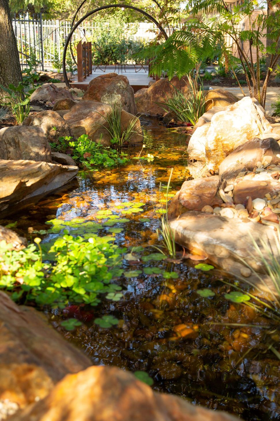 Reflection Garden