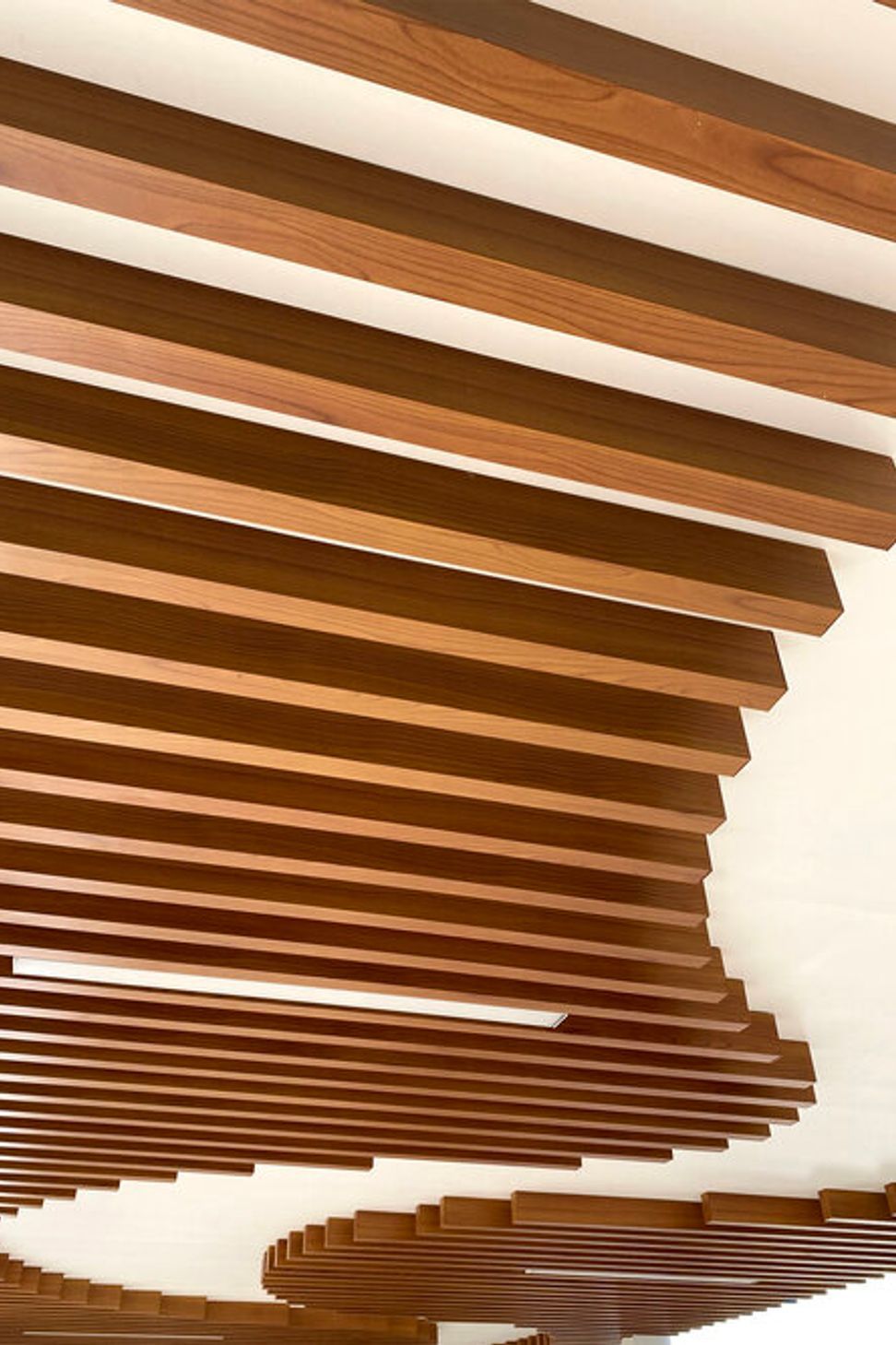 Deakin Canopy