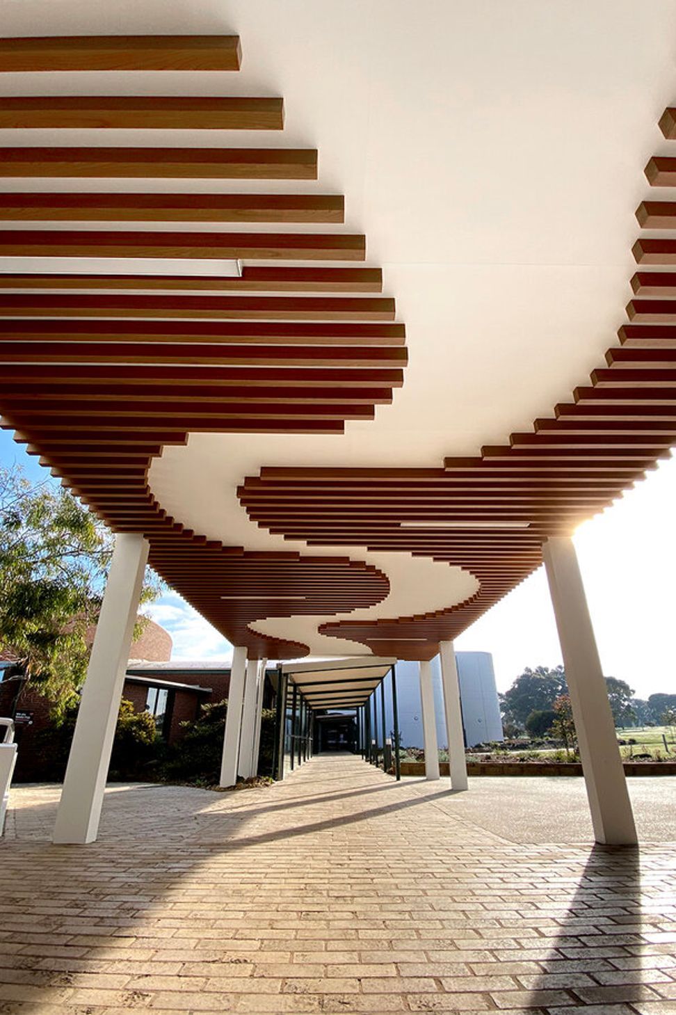 Deakin Canopy