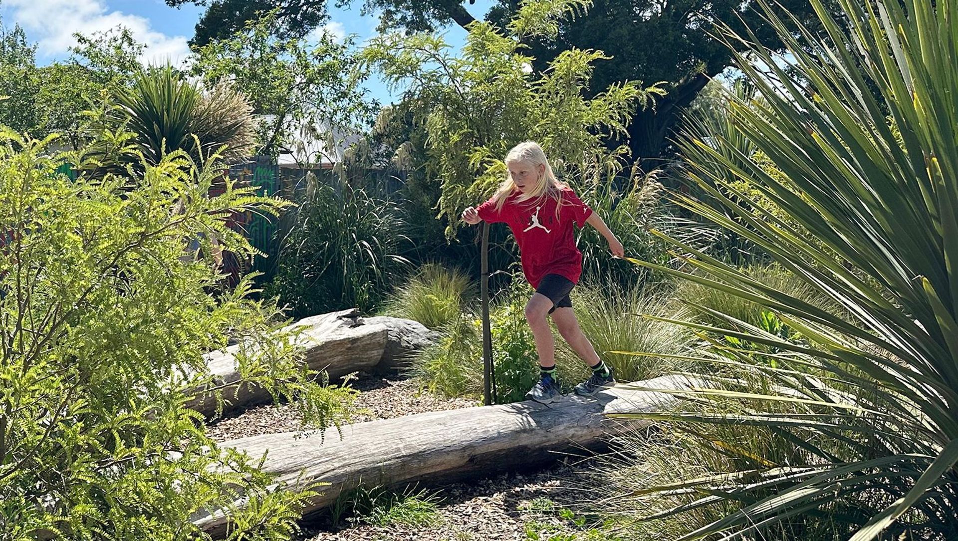 Shirley Primary School banner