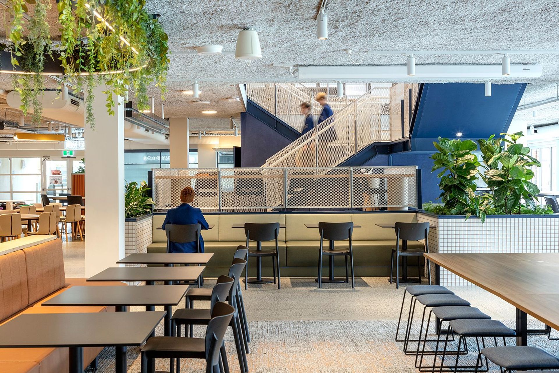 Academy Of Global Competency