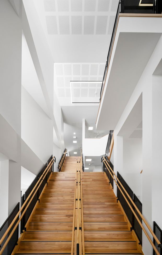 A bright contemporary multi-level stairway or landing with broad timber stair flights, black metal balustrades with warm timber handrails, white walls, and perforated acoustic ceiling panels. The stairs rise toward an open upper level with a glazed balustrade and abundant daylight, creating a tall, spacious circulation area.