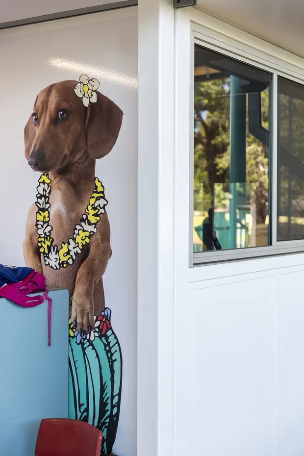 A bright, playful entrance area featuring a large illustrated dachshund mural or graphic panel wearing a flower lei beside a white-framed sliding window. A blue storage unit with colorful items and part of a red chair are visible in the foreground. The adjacent glazing reflects or shows greenery and an exterior structure.