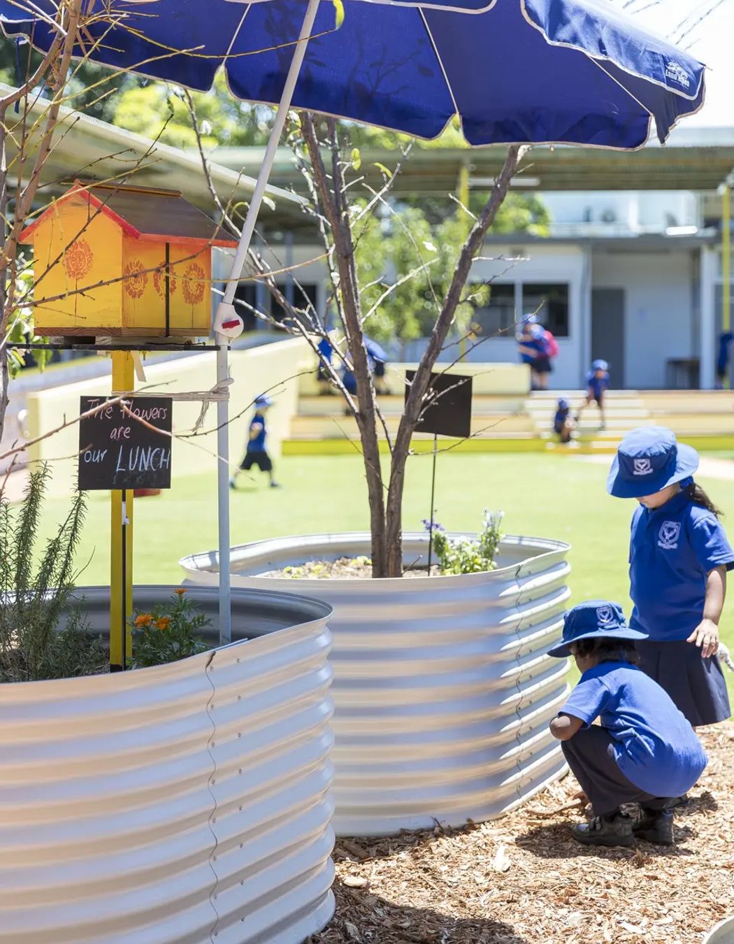 Photography: Tom Ferguson