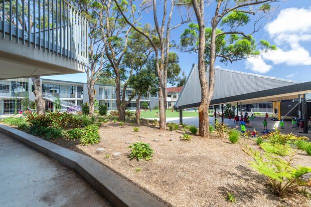 A landscaped courtyard within a contemporary educational or institutional complex. The view shows multiple low-rise buildings arranged around a planted central area, with mature trees, garden beds, concrete edging, extensive glazing, and a large covered outdoor structure. A curved upper-level balcony with vertical metal balustrades is visible at left, while children and activity equipment appear beneath the covered structure on the right. Bright daylight and a clear blue sky create an open, functional campus atmosphere.