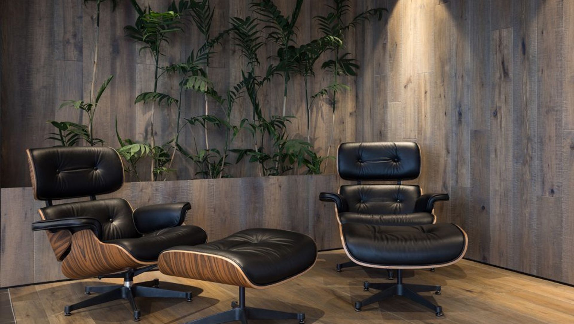 Lexus Showroom, Hamilton banner