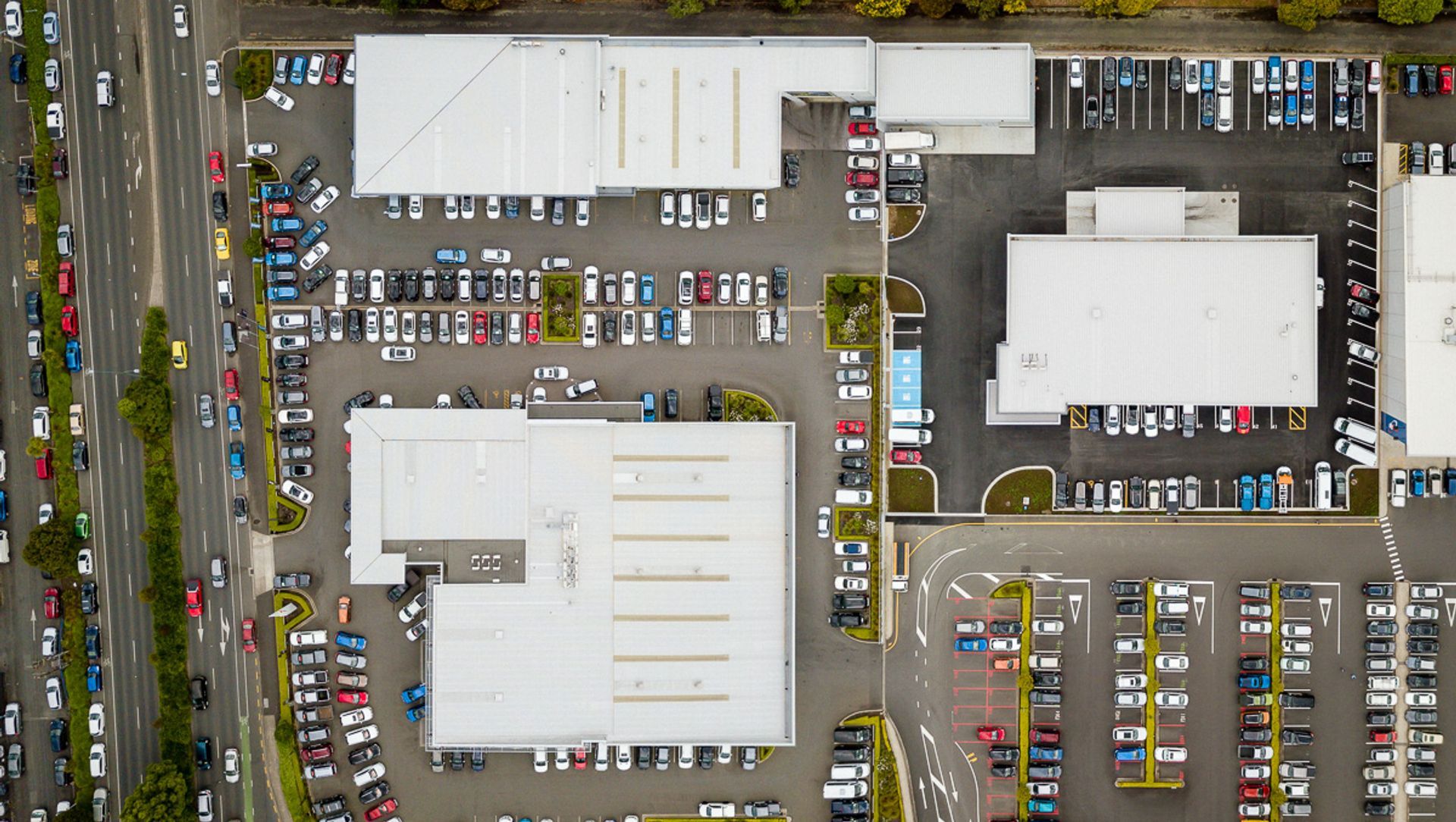 Ingham, Te Rapa banner