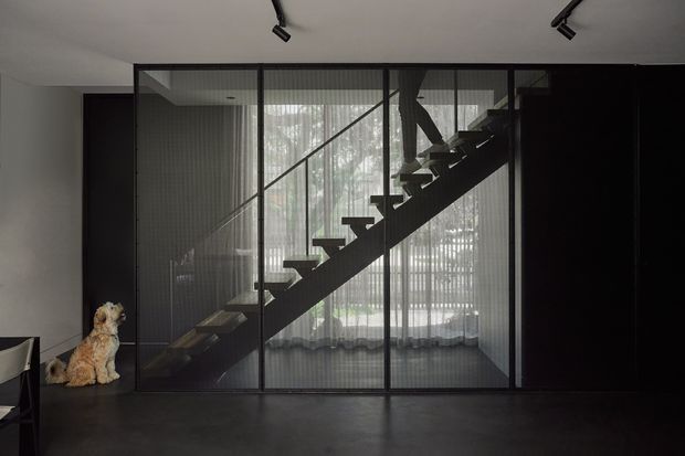 A dark, refined interior focused on a sculptural open-riser staircase behind full-height black-framed glazing or partitions. The stair rises diagonally across the centre, with sheer curtains and a filtered garden view behind it. Black built-in wall panels flank the glazing, while recessed track spotlights illuminate the white ceiling. A small dog is visible near the left edge.
