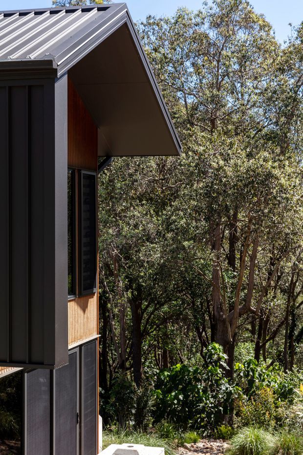 A close exterior view of a contemporary multi-level building set within dense bushland. The facade combines dark vertical cladding with warm timber-lined wall sections, tall narrow glazing, and a sharply pitched metal gable roof with broad eaves. Native vegetation surrounds the structure.