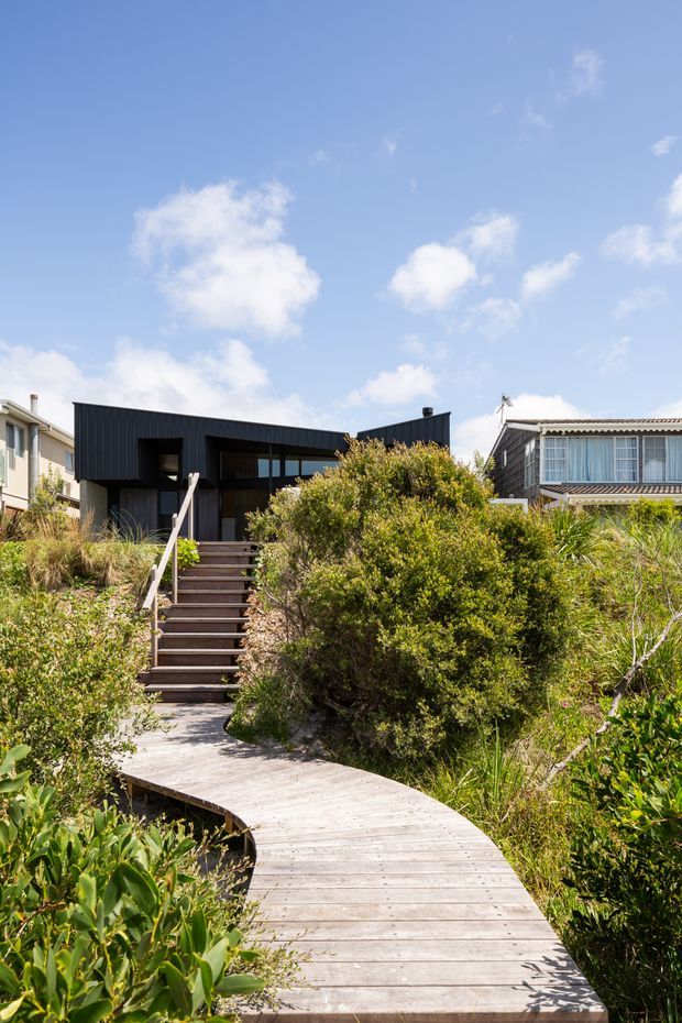 Exterior view of a contemporary dark-clad house approached by a curved timber boardwalk through dense coastal-style planting. A flight of timber steps leads to a recessed entrance, with neighbouring homes visible on either side beneath a bright blue sky.