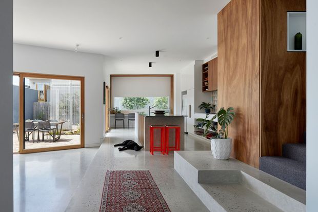 A bright, open-plan contemporary interior combining an entryway, kitchen and living area. The space features polished light concrete flooring, a large timber wall and built-in joinery, a white kitchen with a central island and vivid red stools, and an integrated stairway with dark carpeted treads. Timber-framed glazing opens toward an outdoor dining area, while a patterned runner and indoor plants add warmth.