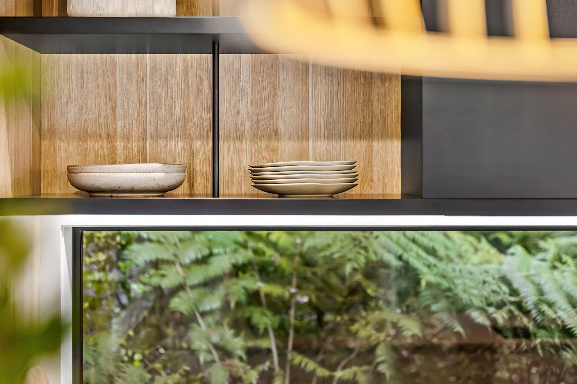 Tree House | Titirangi