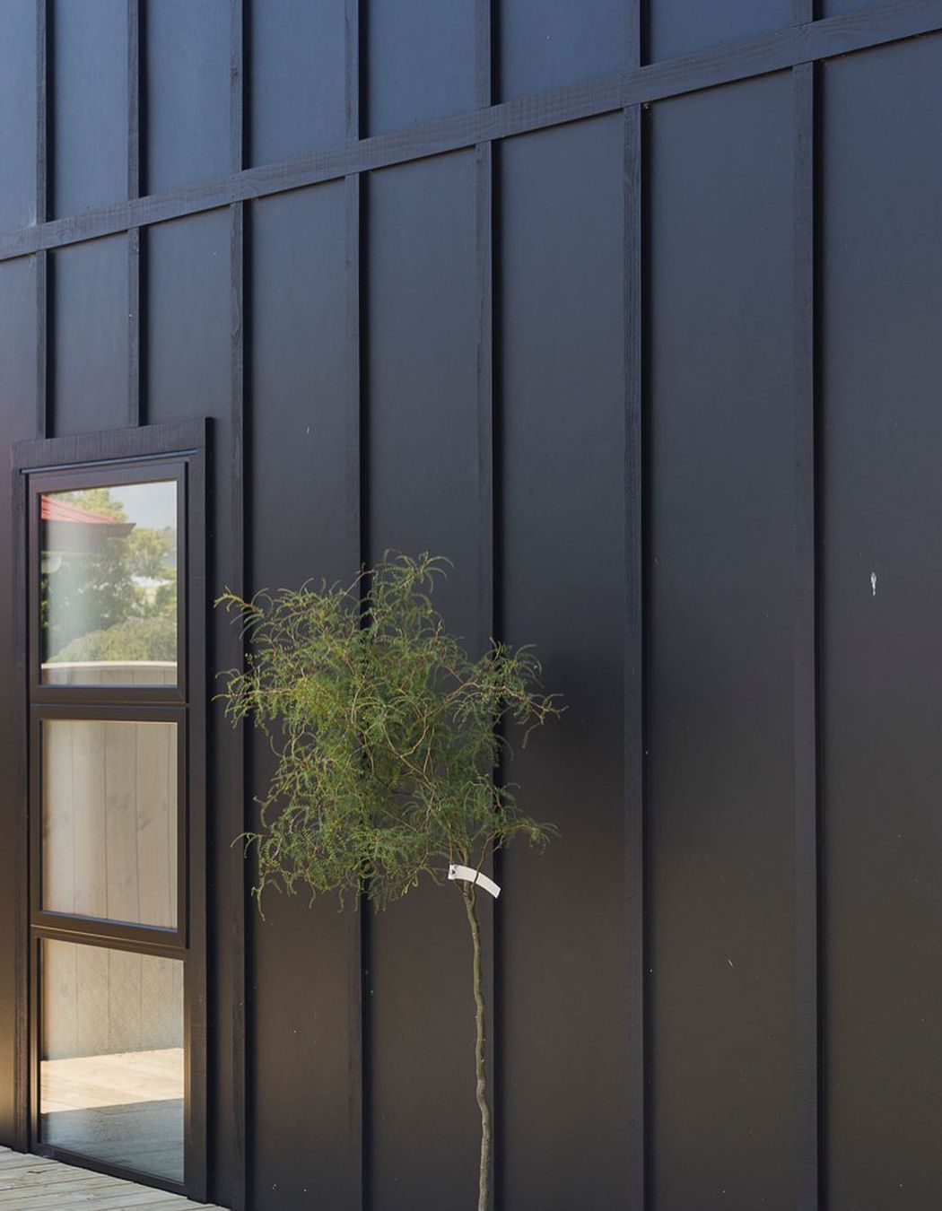 Final Project Of 2020