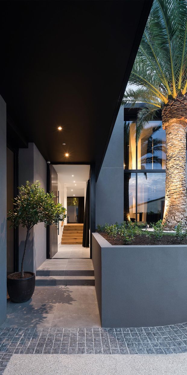 A refined contemporary residential entry courtyard viewed from outside. A narrow tiled walkway leads through a dark covered passage to a recessed front door and a short flight of timber steps. Charcoal walls, deep black soffits, concealed downlights, large glazed openings, and raised concrete planters create a dramatic modern composition, with a mature palm and potted greenery softening the architecture.