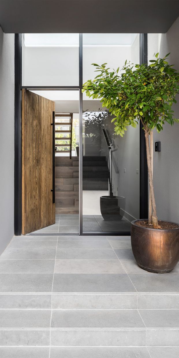 A refined residential entryway viewed from outside, with broad pale grey tiled steps leading to a tall timber pivot door and a glazed entry panel. Dark metal-framed glazing creates a bright, double-height-like foyer with a stairway visible beyond. A large potted indoor tree adds natural contrast to the restrained grey, black, and timber palette.