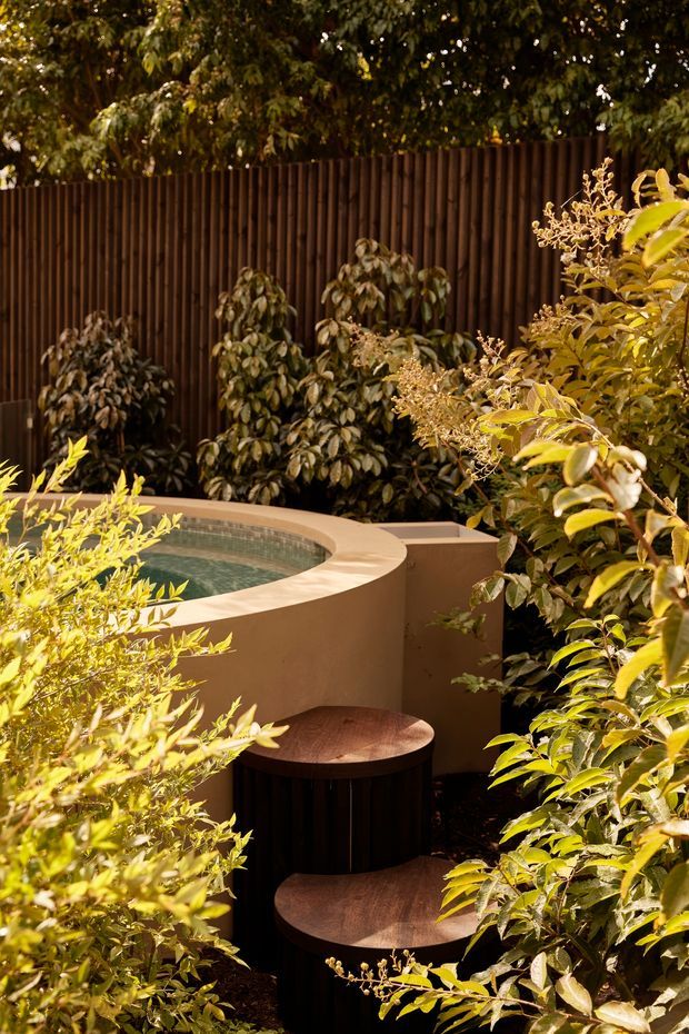 A lush, intimate garden courtyard featuring a small curved plunge pool or spa with a pale rendered surround, surrounded by dense tropical planting. A dark vertical timber privacy fence forms the backdrop, while two round dark timber stepping platforms or stools sit beside the pool. The scene has warm, dappled natural light and a secluded resort-like atmosphere.