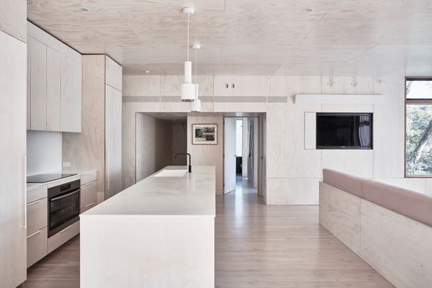 Bright open-plan kitchen and living area with extensive pale timber wall and ceiling lining, integrated light-wood cabinetry, a large white island with sink, built-in appliances, minimalist pendant lights, and a built-in television beside a window. The space has a clean, warm, contemporary character.