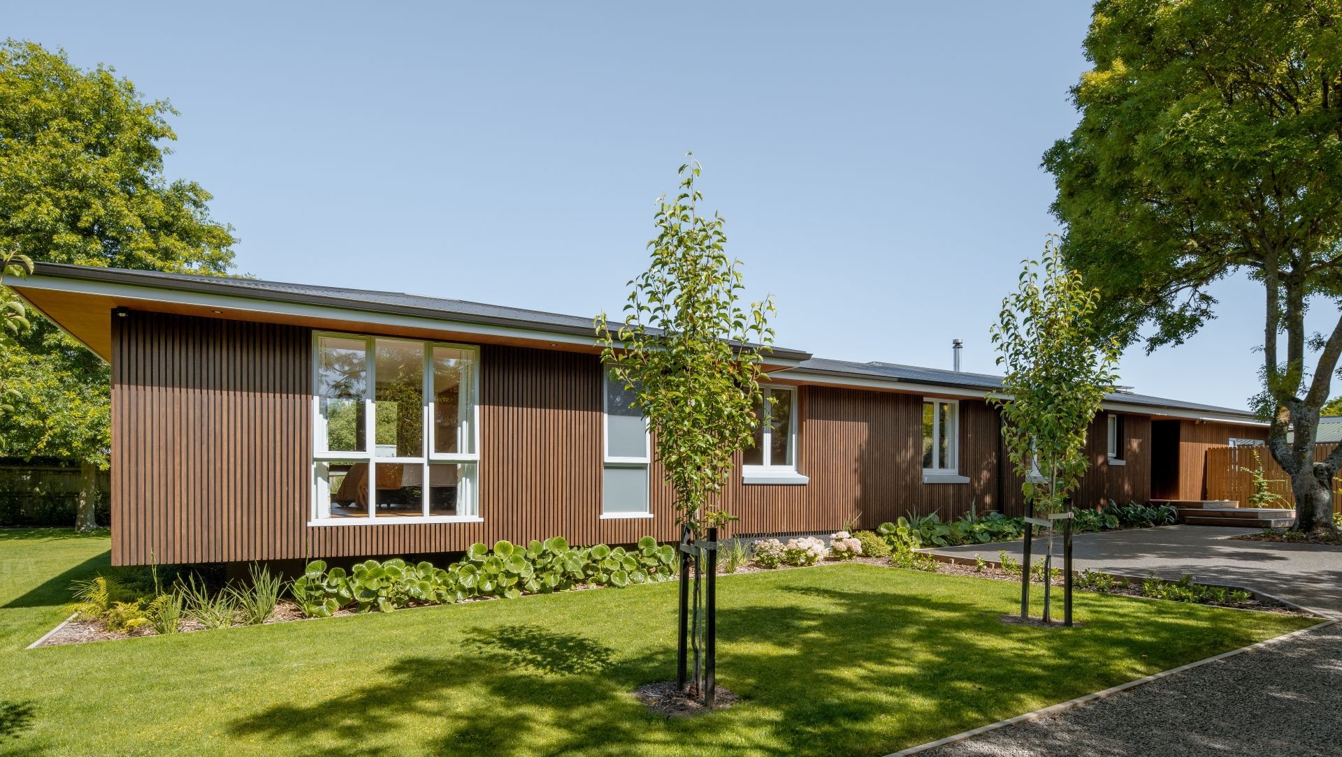 Roseneath Lane, Springlands, Blenheim banner