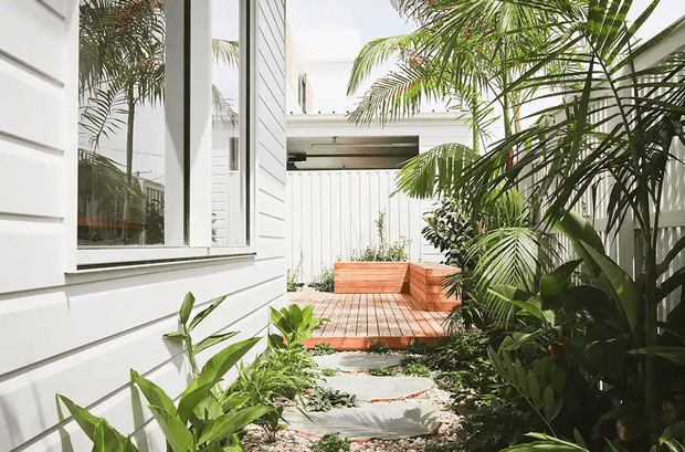 A bright, narrow landscaped courtyard between white weatherboard-clad walls, featuring lush tropical planting, a stepping-stone path through gravel, and a raised timber deck with built-in brick seating at the rear. Large windows and a simple overhead connection frame the intimate outdoor space.