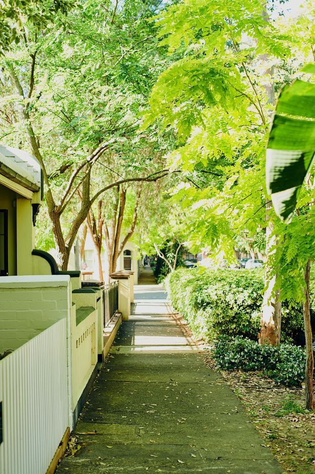 A leafy residential pedestrian walkway lined with mature trees, trimmed hedges, and low boundary fences. A small light-coloured building is visible along the left side, while the paved path leads toward additional homes and street activity in the distance. The scene is bright, green, and suburban in character.