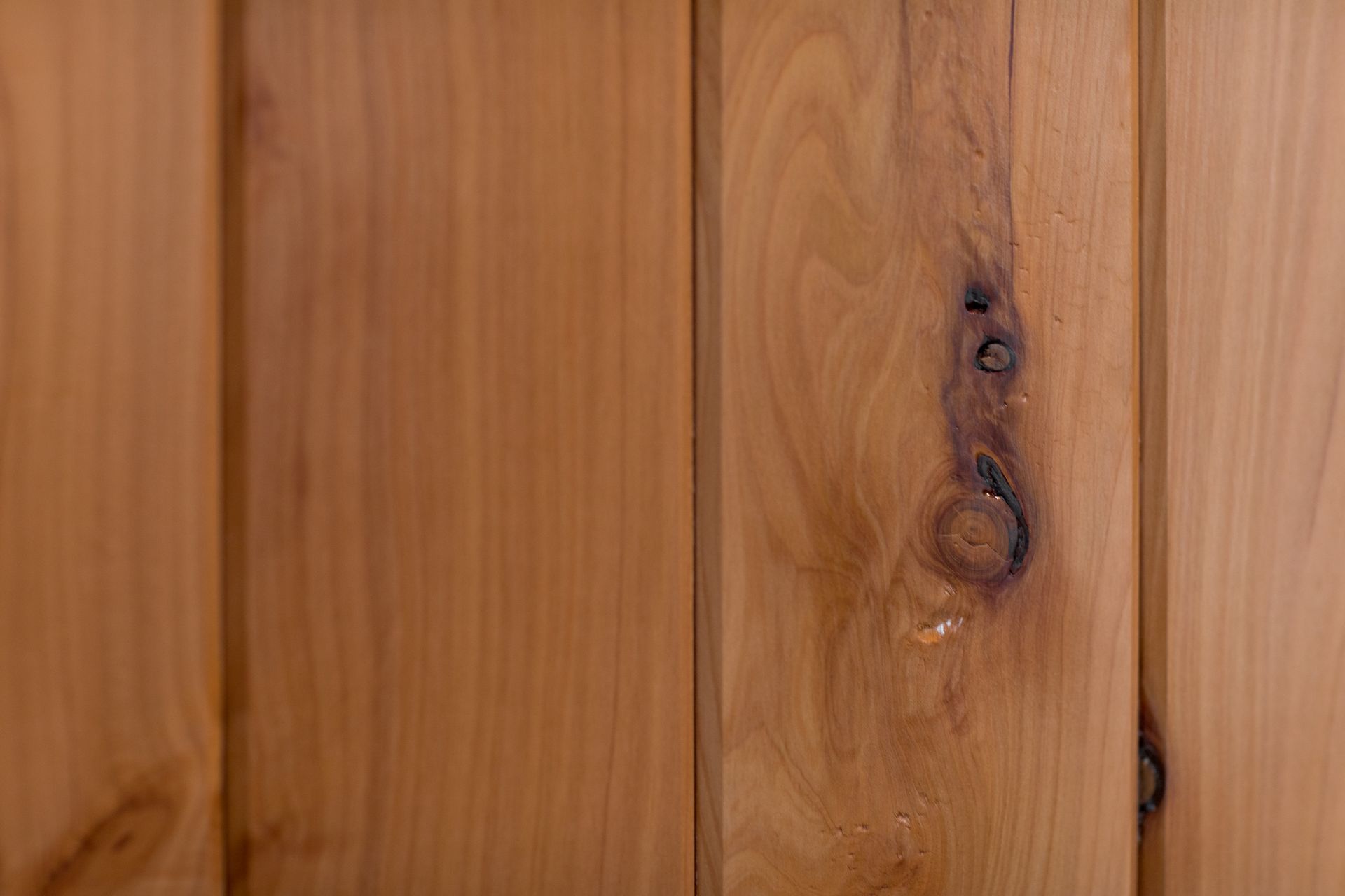 Macrocarpa Masterpiece
