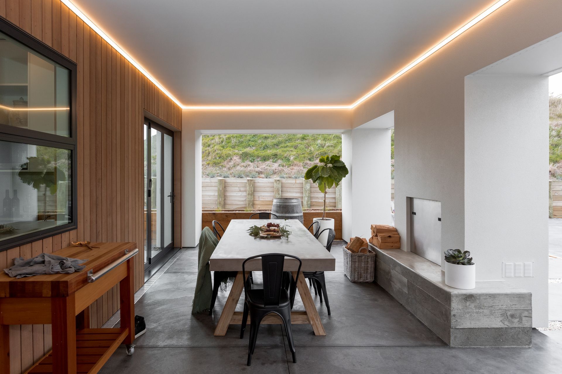 Macrocarpa Masterpiece