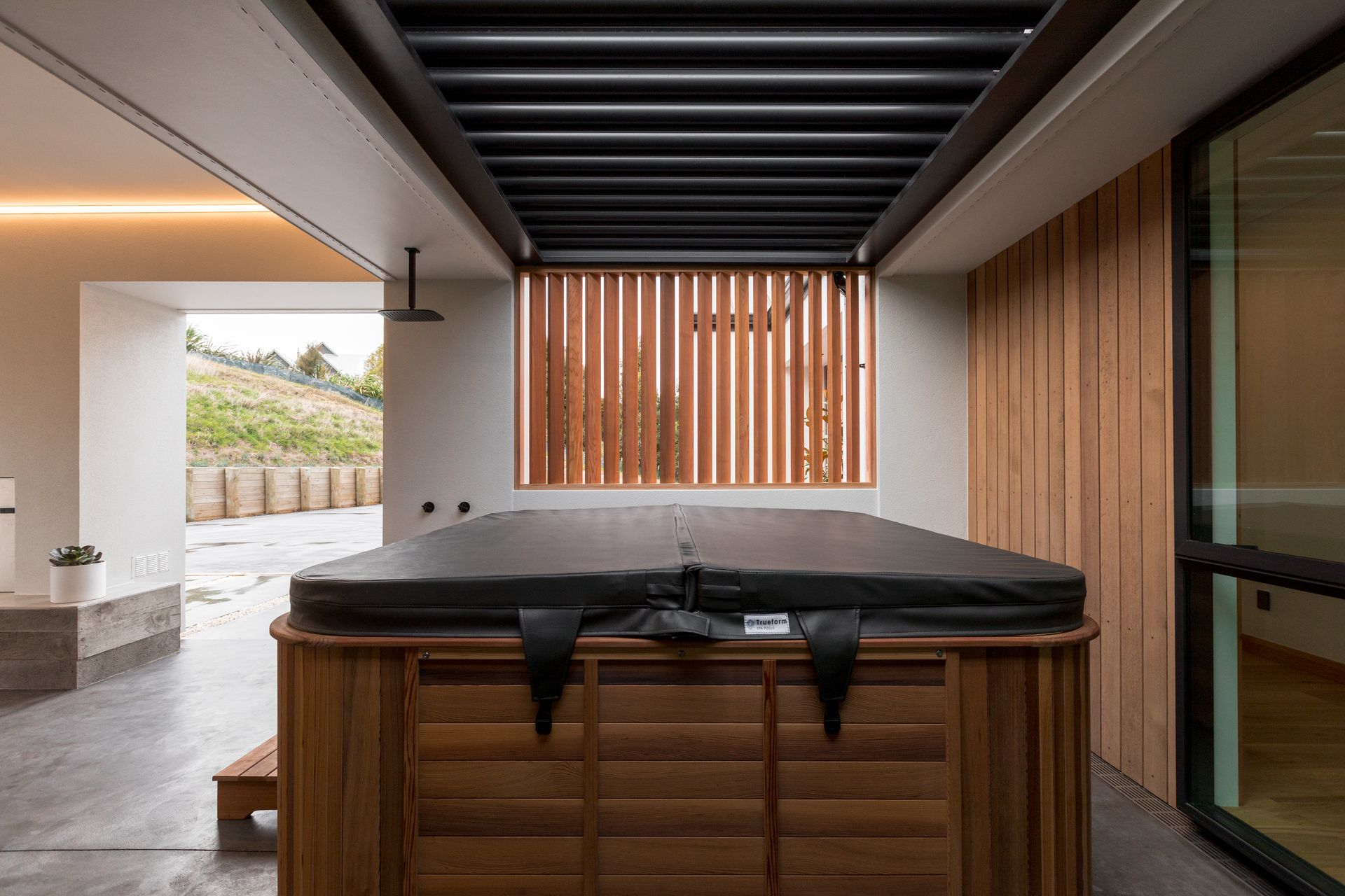 Macrocarpa Masterpiece